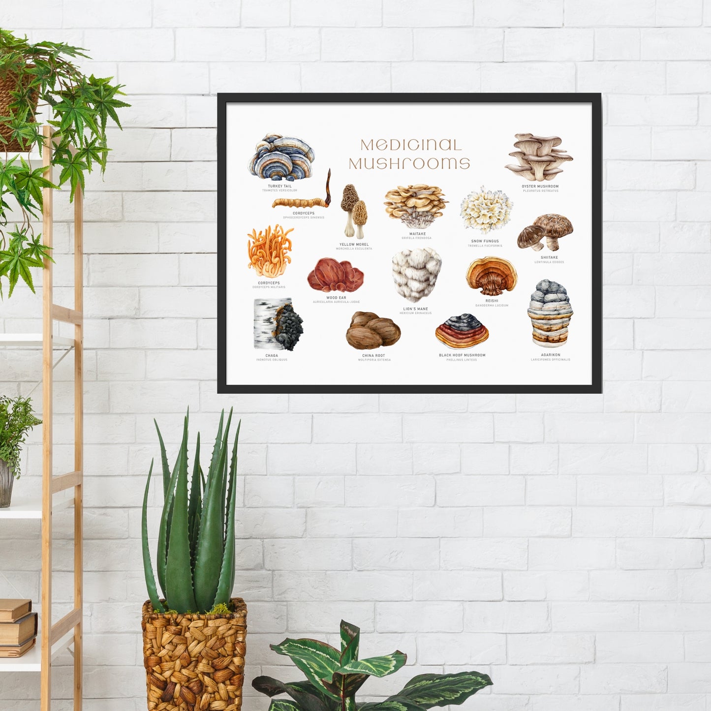 Medicinal Mushrooms Watercolor Fine Art Print showcasing various mushrooms, perfect for art lovers and nature enthusiasts.