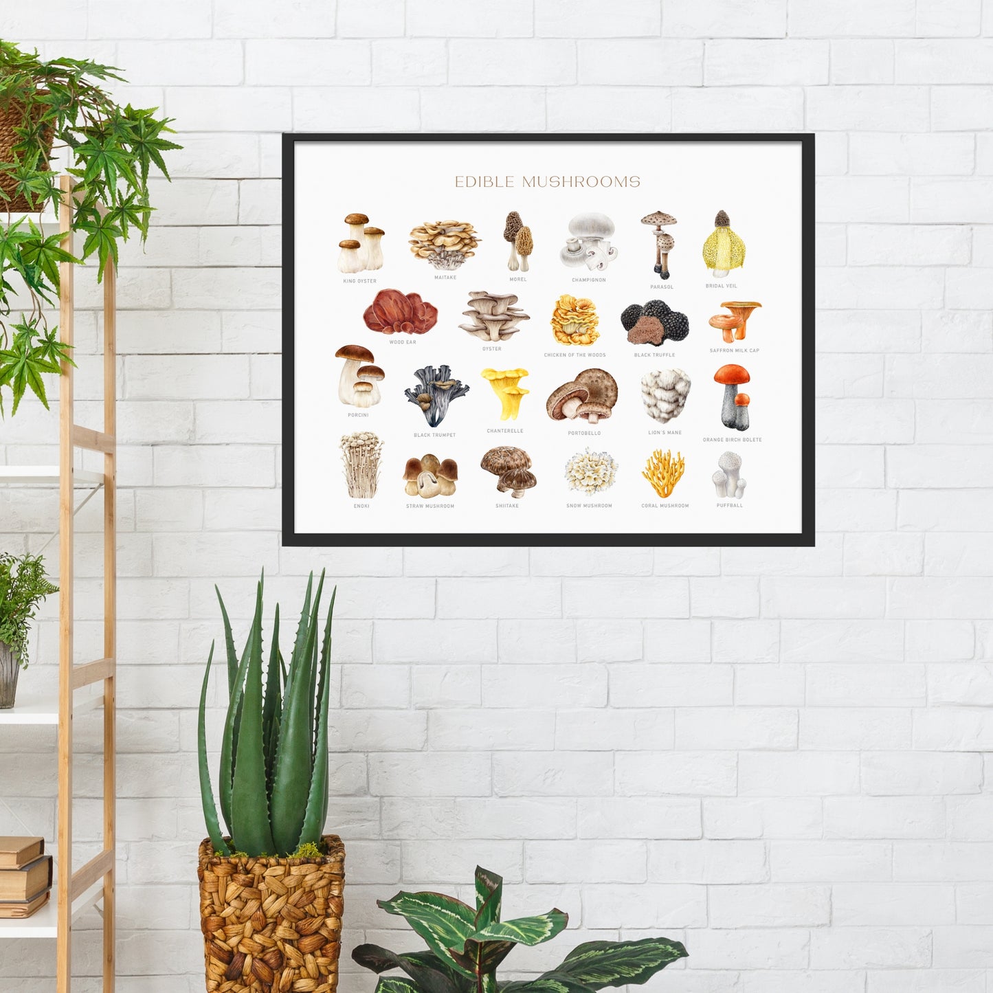 Edible Mushrooms Watercolor Fine Art Print showcasing a variety of mushrooms, perfect for kitchen decor.