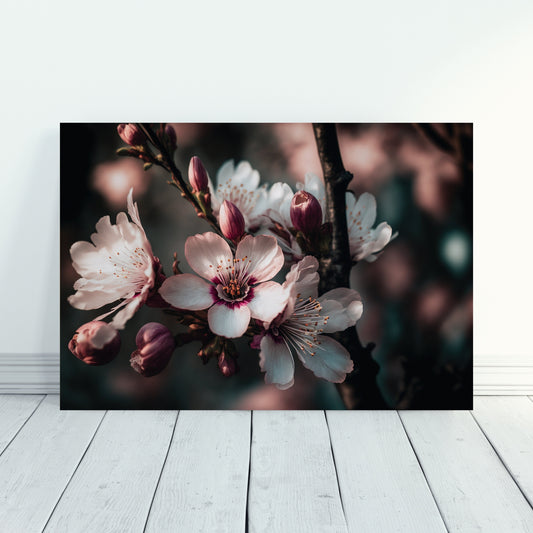 Elegant Cherry Blossoms Acrylic Print showcasing intricate floral details, perfect for enhancing home decor.