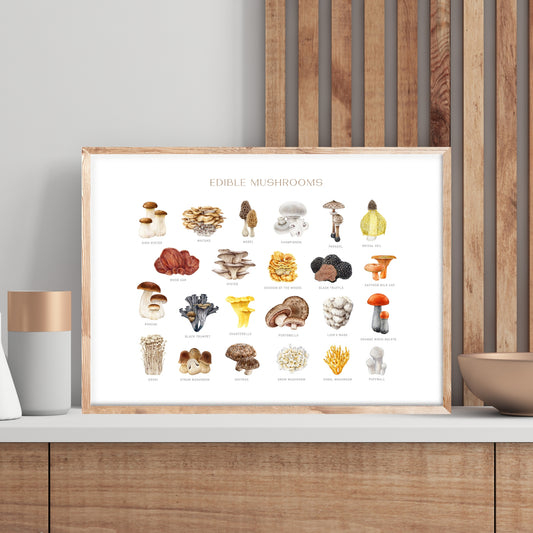 Edible Mushrooms Watercolor Fine Art Print showcasing various mushroom species, perfect for art lovers and kitchens.