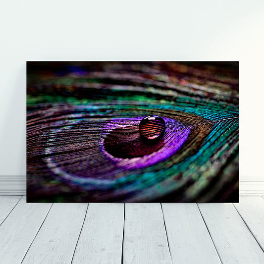 Stunning Peacock Feather Macro Acrylic Print showcasing vibrant colors and intricate details, perfect for home decor.