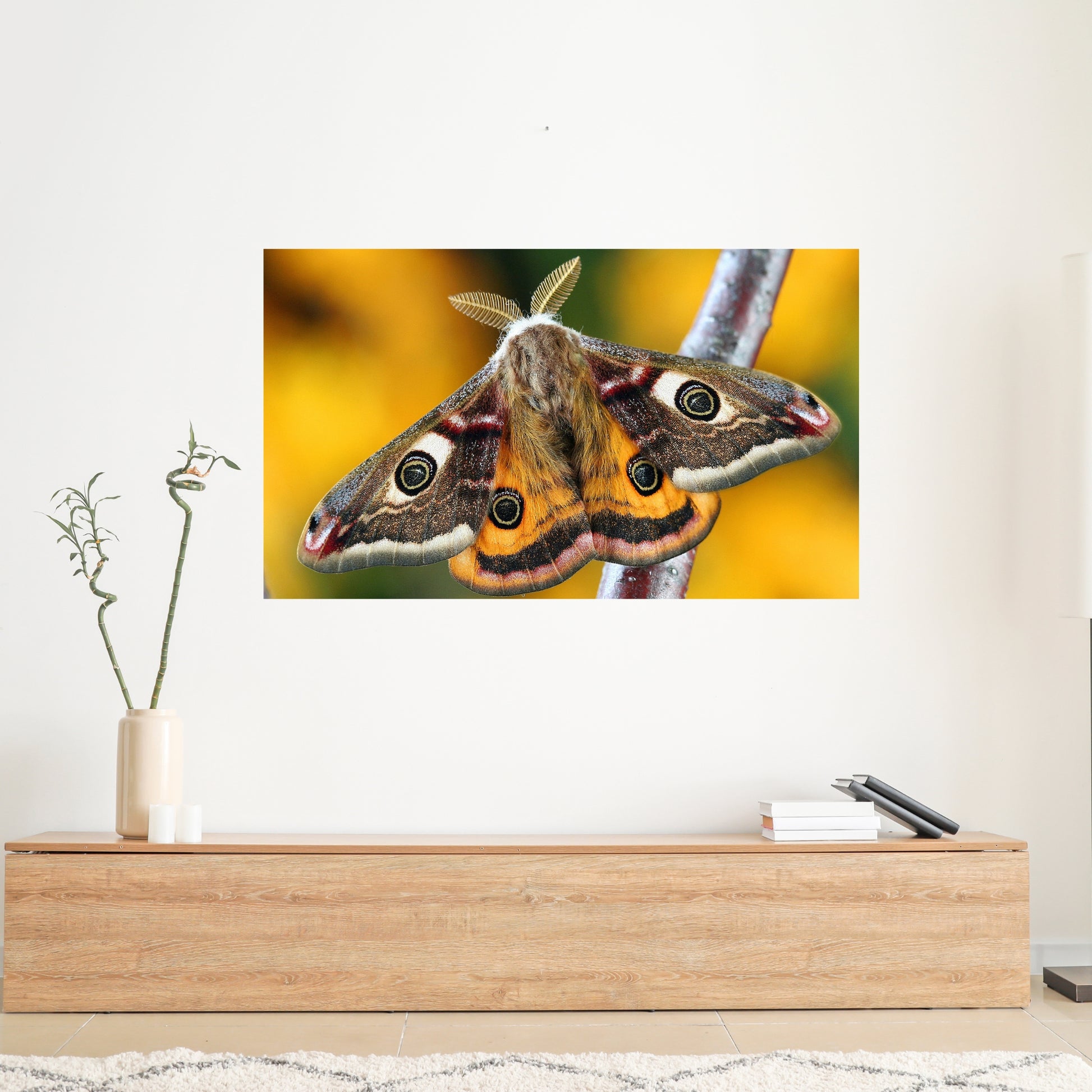 Stunning Yellow Moth Macro Nature Acrylic Print showcasing vibrant details, perfect for modern decor.