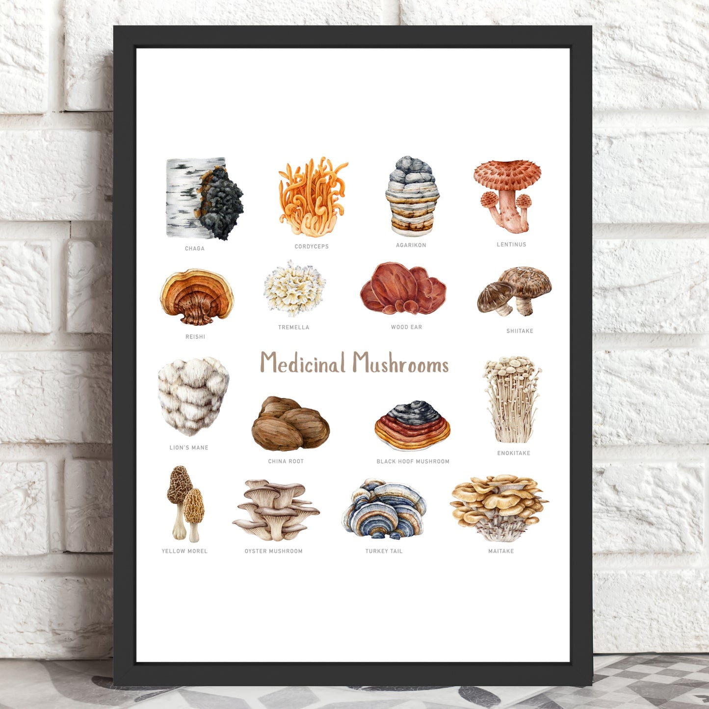 Medicinal Mushrooms Watercolor Fine Art Print showcasing various mushrooms, beautifully framed against a brick backdrop.