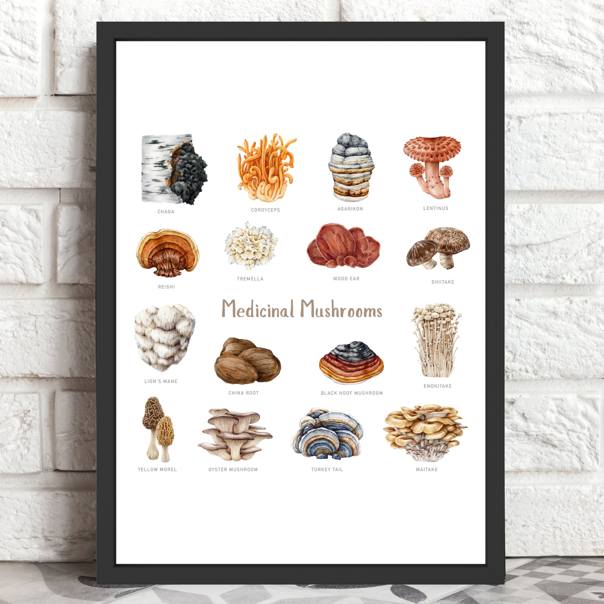 Medicinal Mushrooms Watercolor Fine Art Print showcasing various mushrooms, beautifully framed against a brick backdrop.