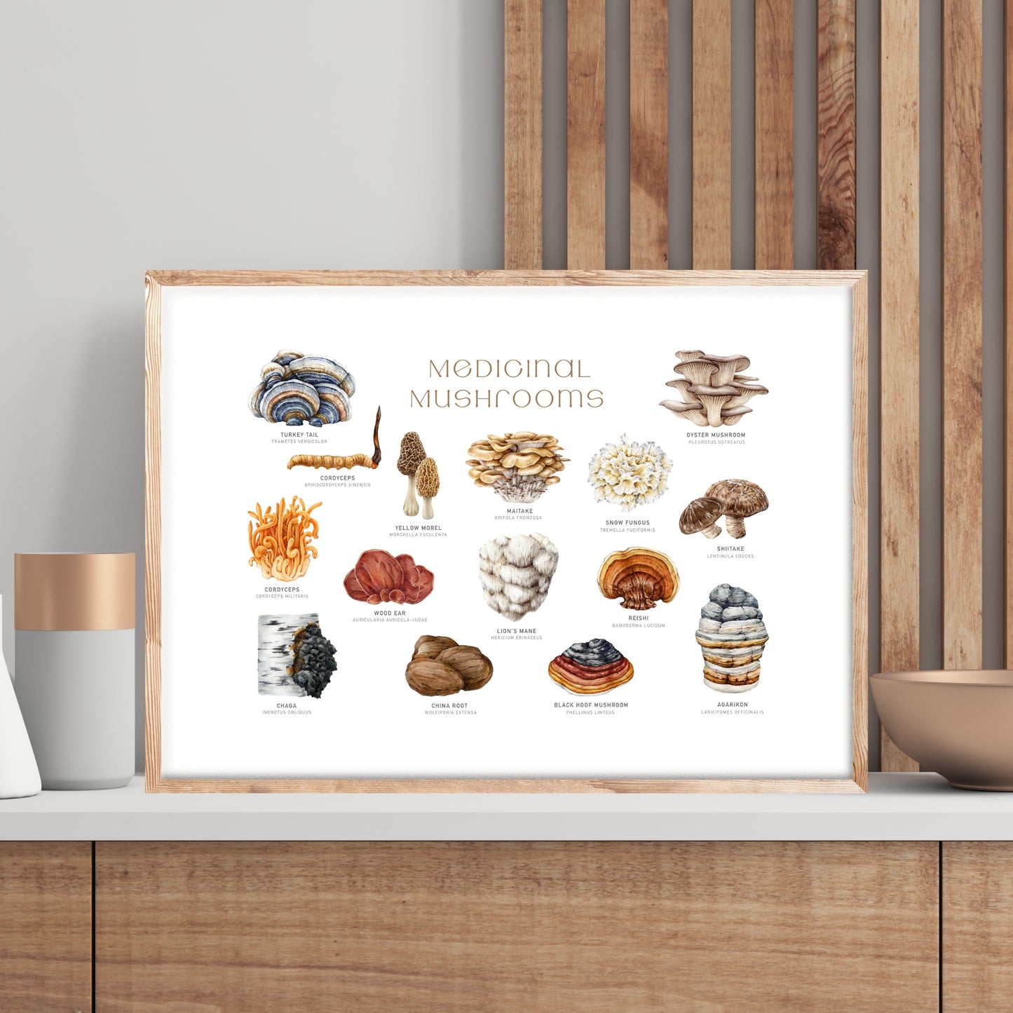 Medicinal Mushrooms Watercolor Fine Art Print showcasing detailed illustrations of various medicinal mushrooms.