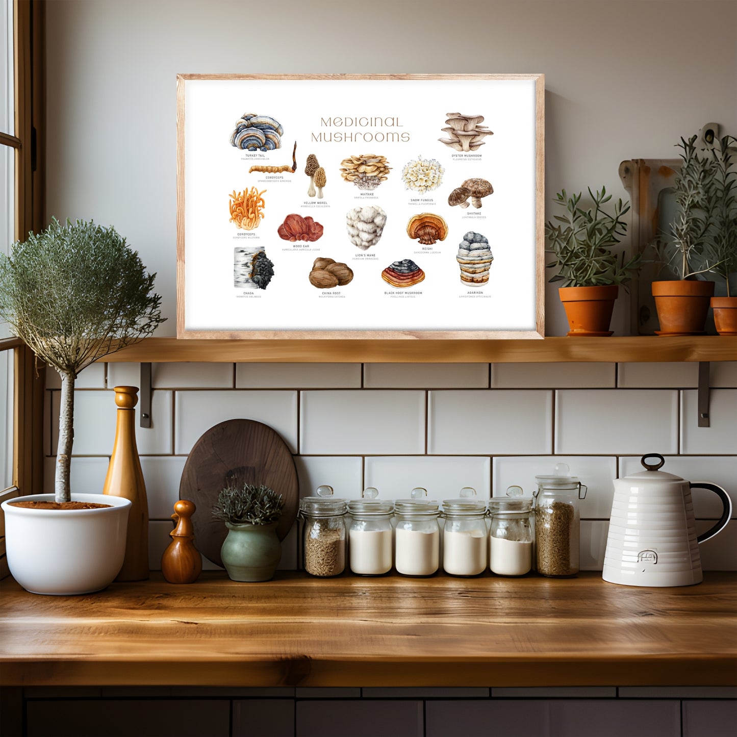 Decorative display featuring the Medicinal Mushrooms Watercolor Fine Art Print in a stylish kitchen setting.