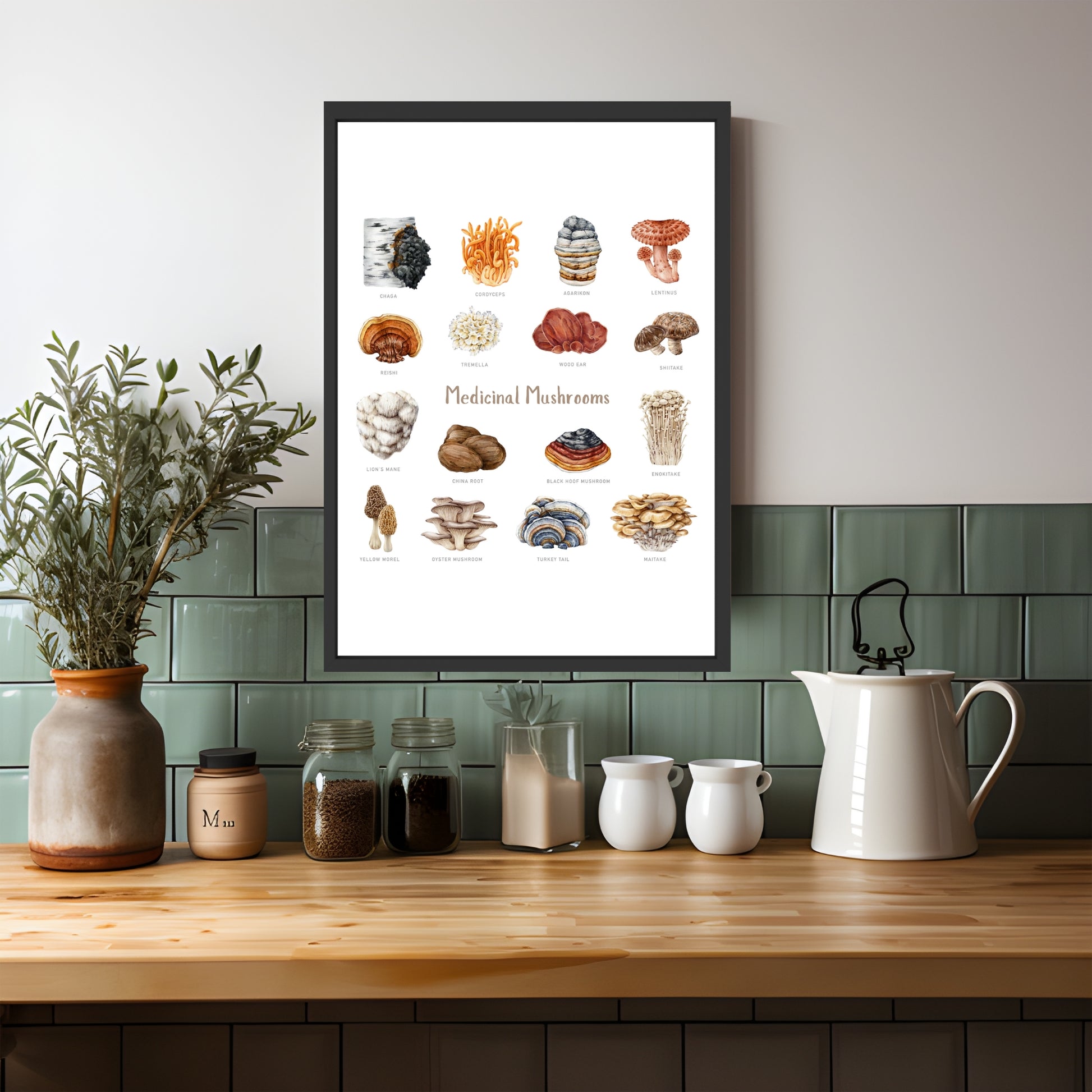 Medicinal Mushrooms Watercolor Fine Art Print showcasing diverse mushrooms in a stylish kitchen setting.