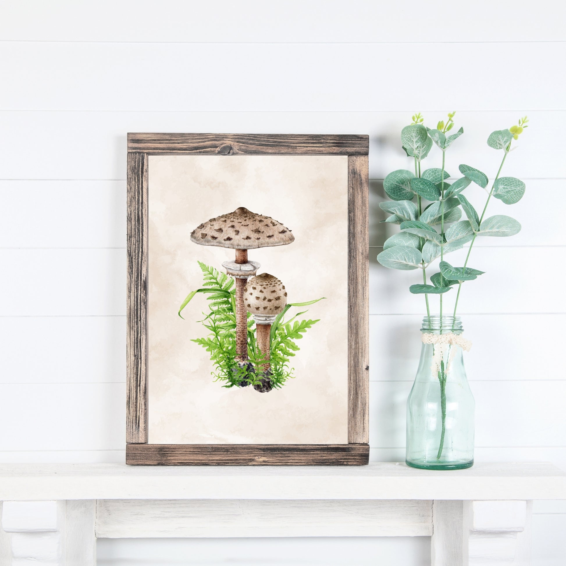 Parasol Mushrooms Watercolor Fine Art Print showcasing delicate mushrooms with ferns, perfect for art lovers.