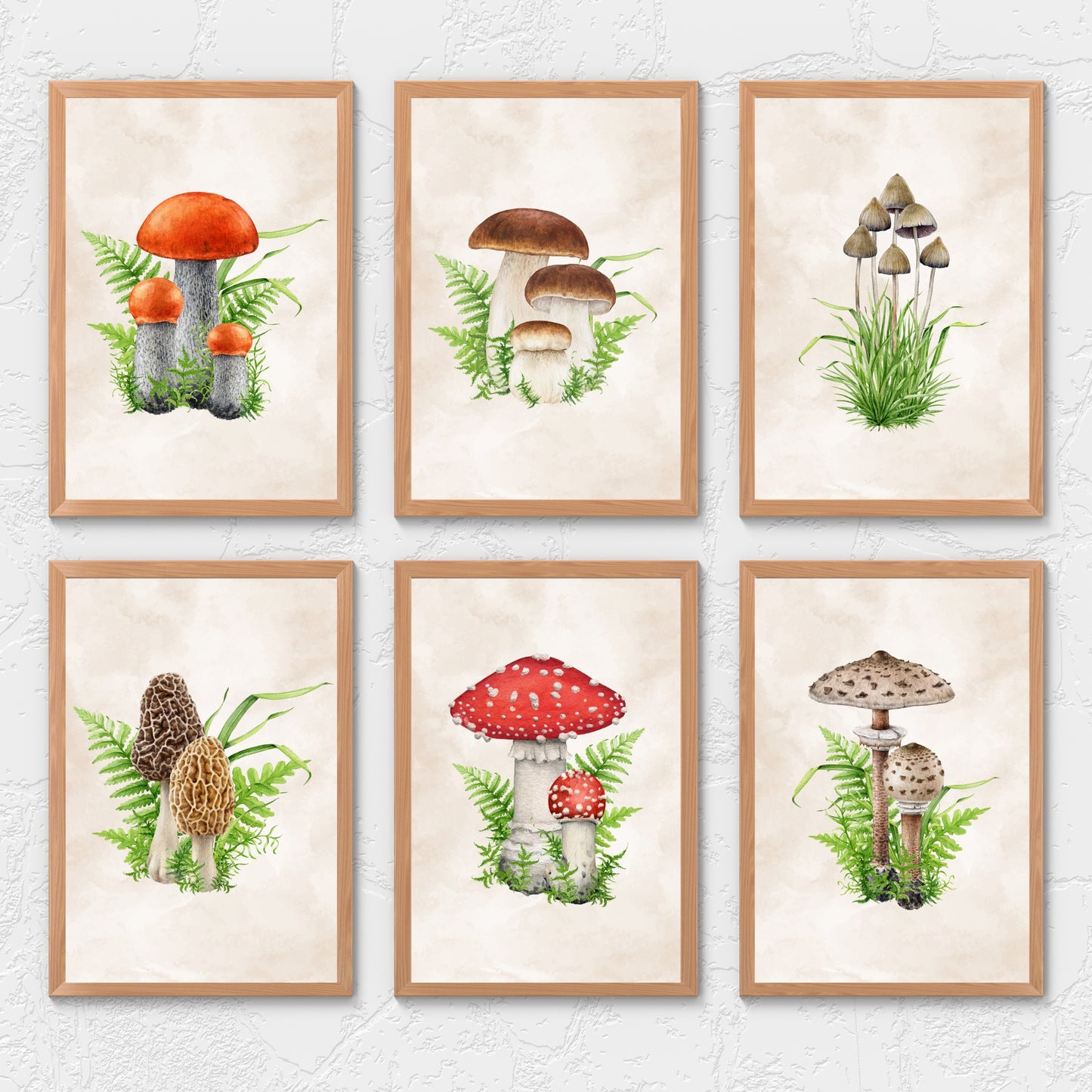 Mushrooms Watercolor Fine Art Print Set of 6 featuring vibrant, detailed artwork on archival paper, perfect for home decor.