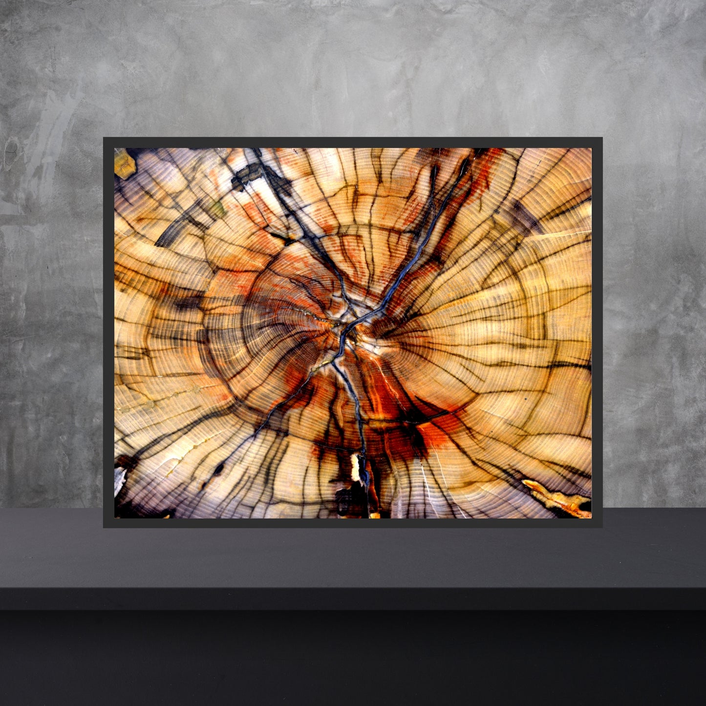 Beautiful Tree Rings Fine Art Print showcasing intricate textures and colors, perfect for any art lover’s collection.