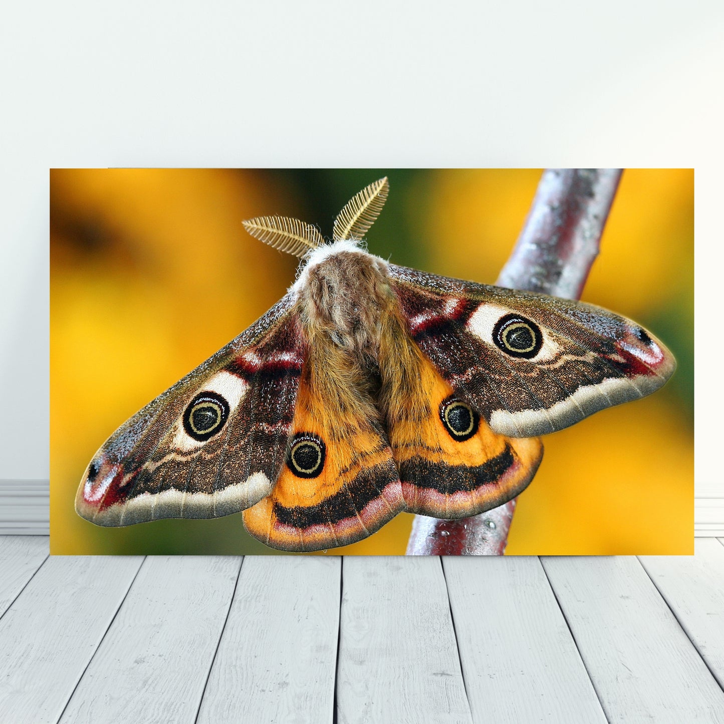 Vibrant Yellow Moth Macro Nature Acrylic Print showcasing stunning detail and clarity, perfect for modern decor.